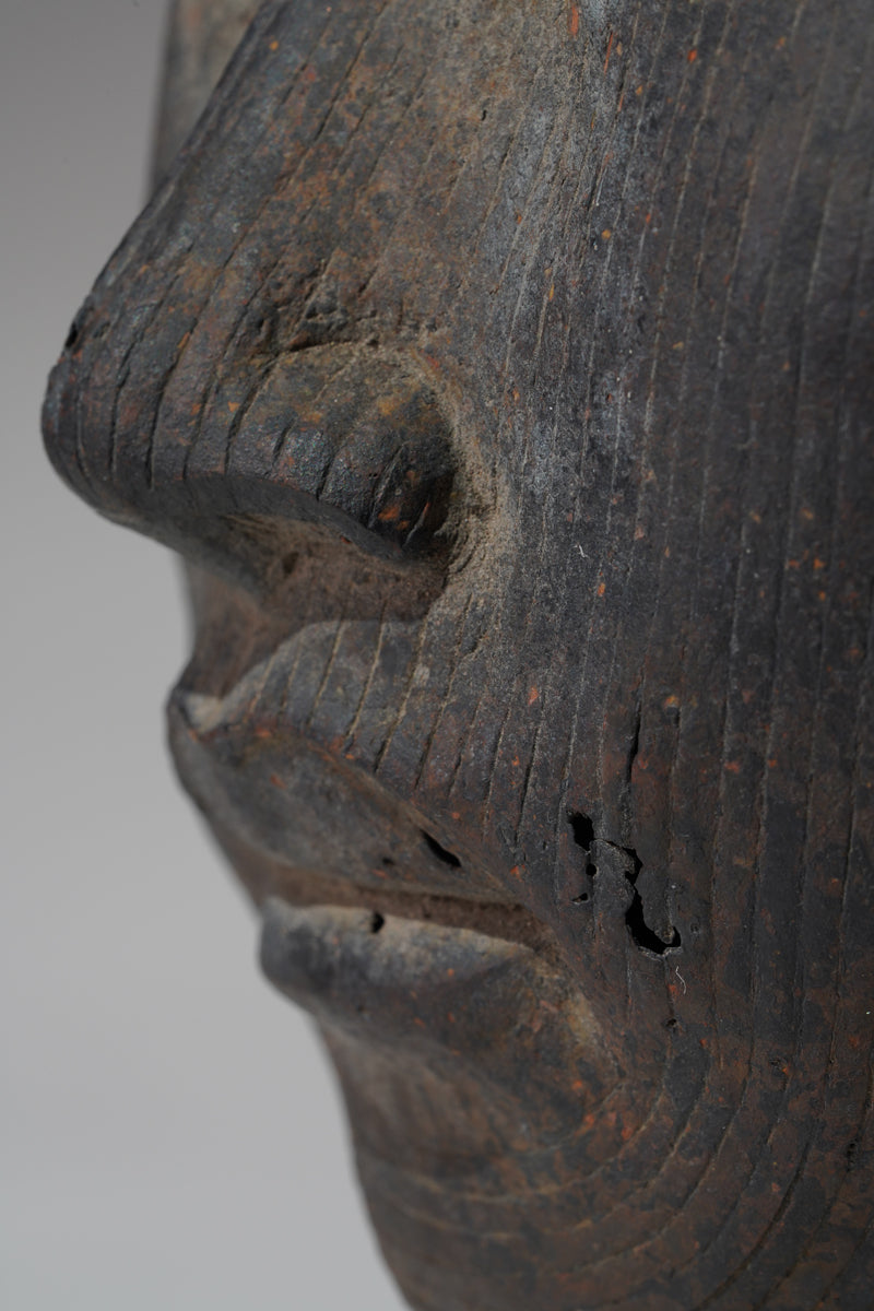 A naturalistic, thinwalled bronze head
