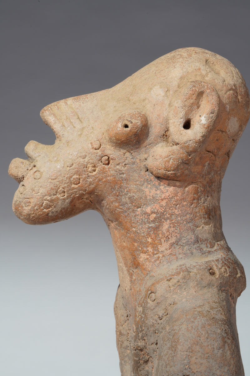 A terracotta in the Djenne-Jeno style