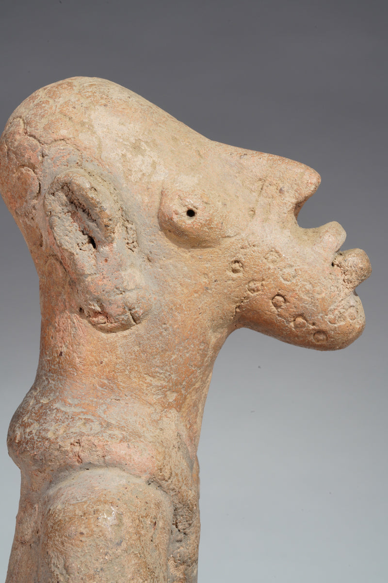 A terracotta in the Djenne-Jeno style
