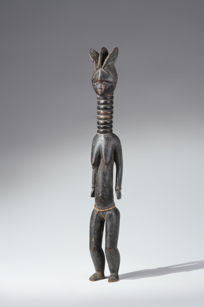 A small Mende ancestral