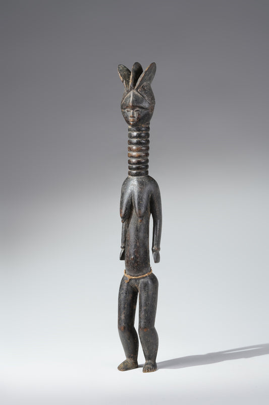 A small Mende ancestral