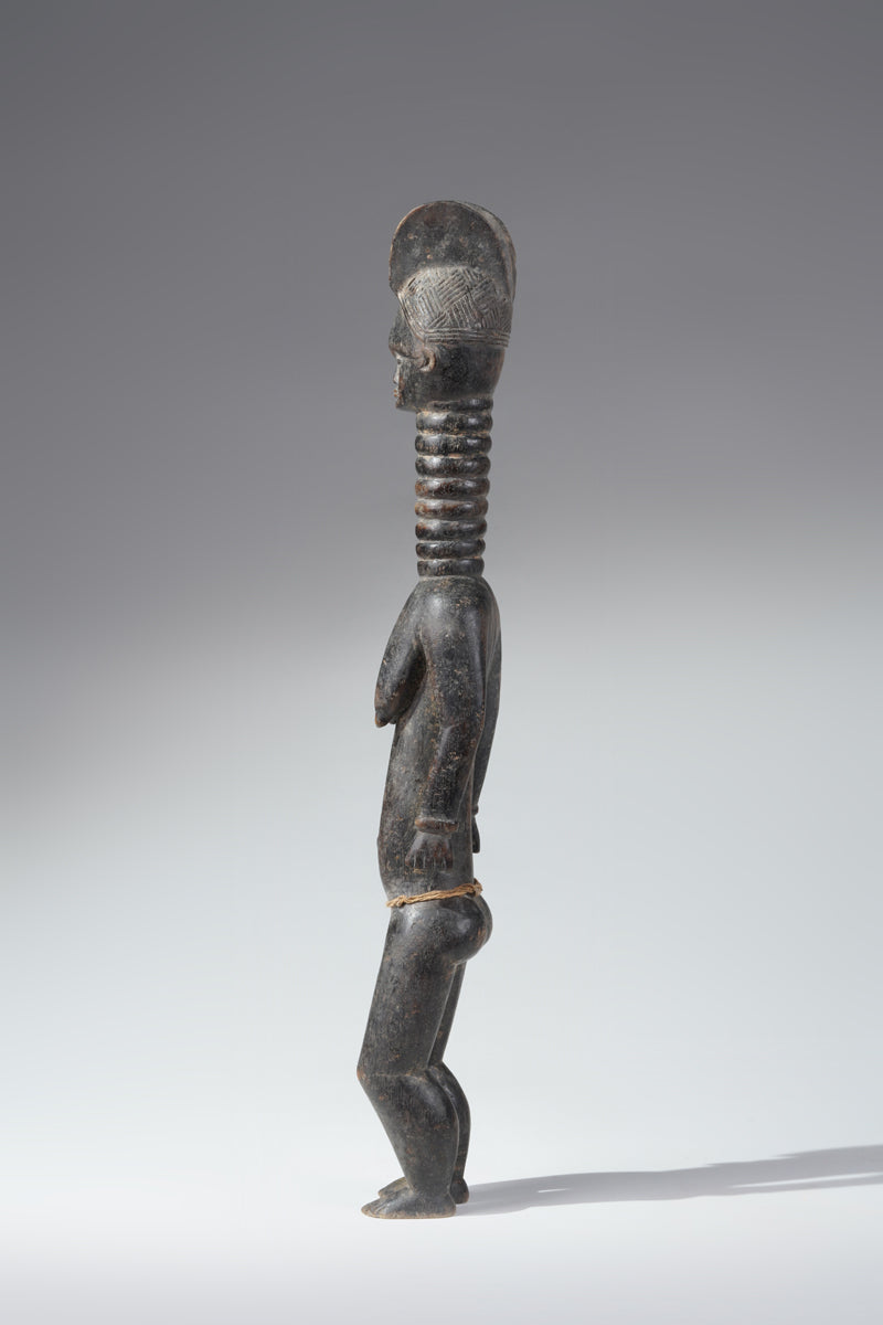 A small Mende ancestral