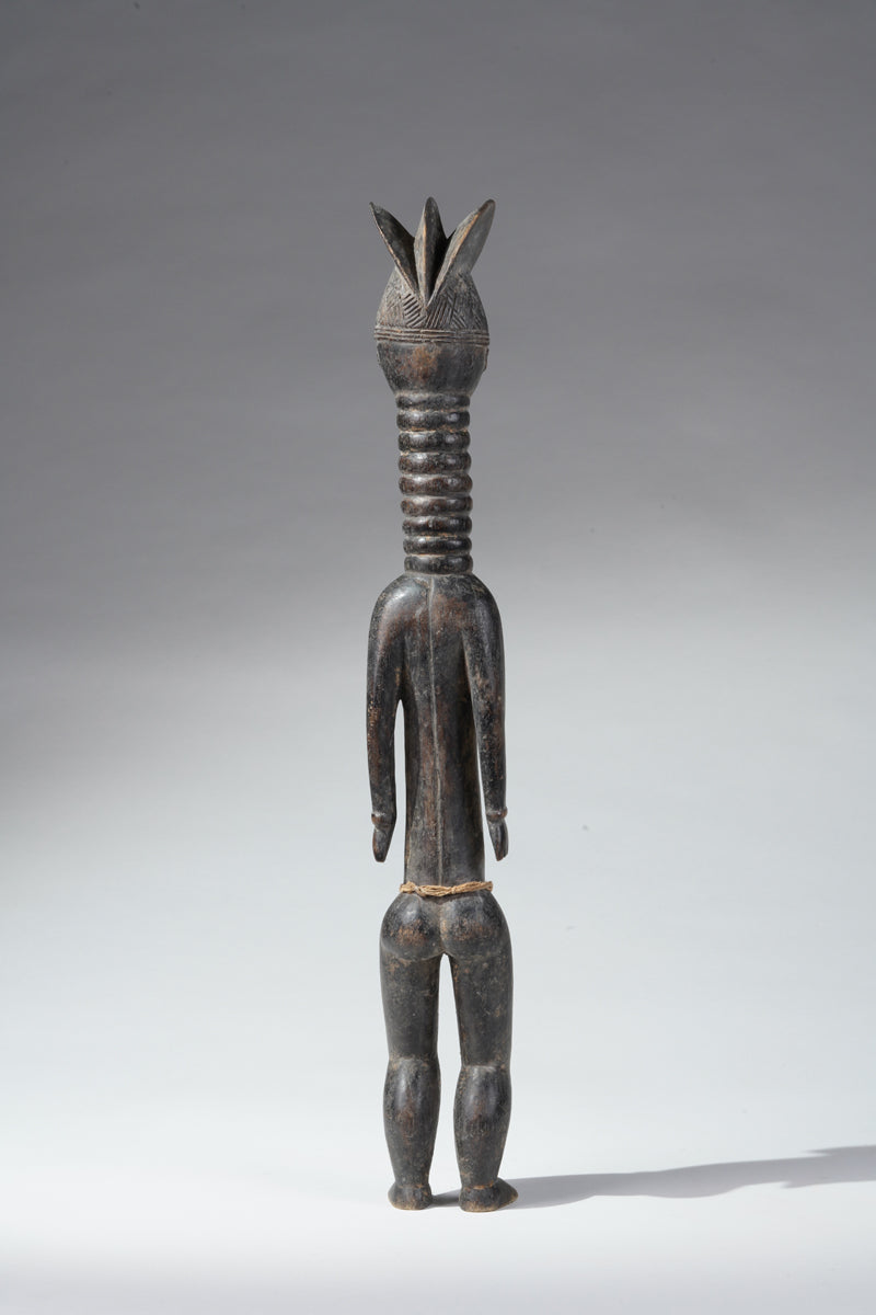 A small Mende ancestral