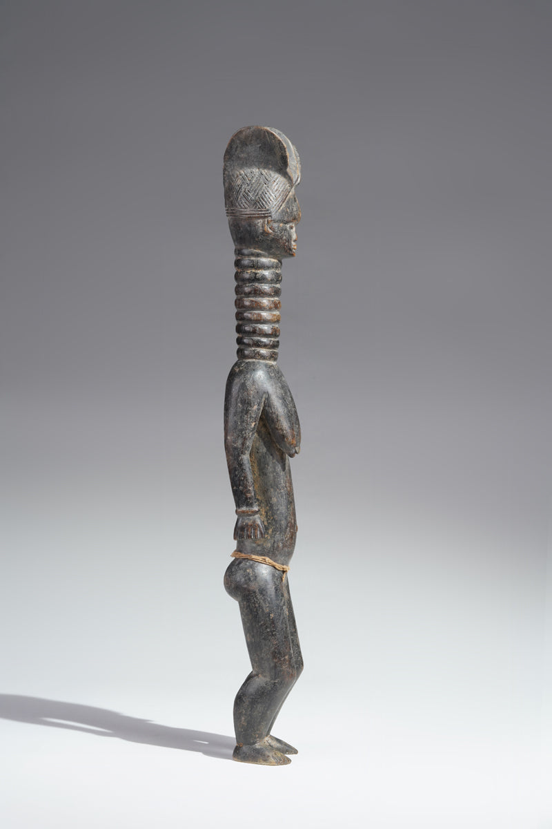 A small Mende ancestral