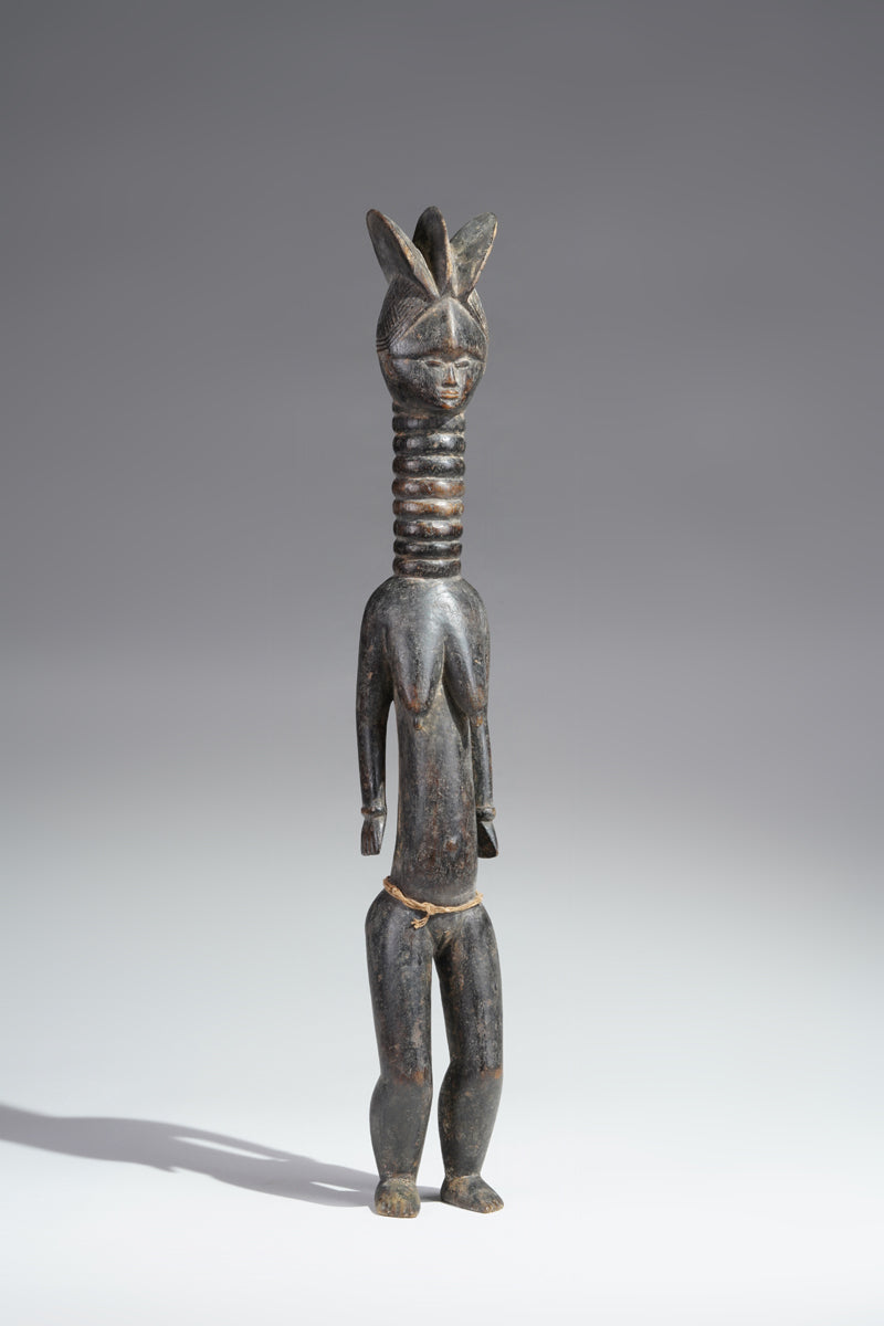 A small Mende ancestral