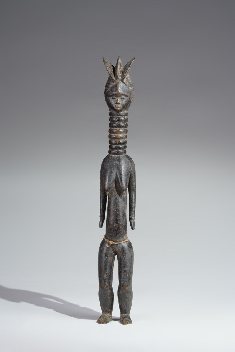 A small Mende ancestral