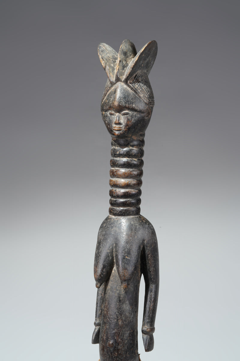 A small Mende ancestral
