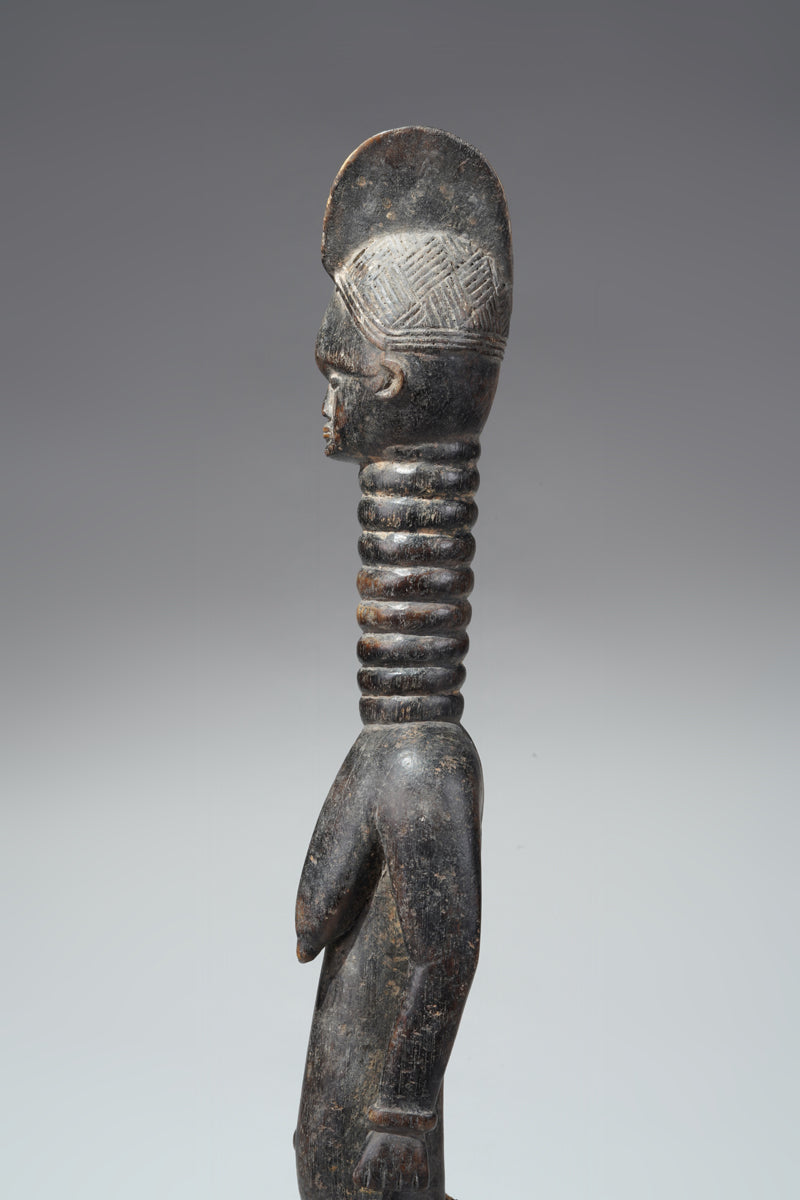 A small Mende ancestral