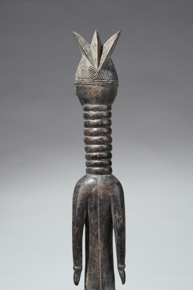 A small Mende ancestral