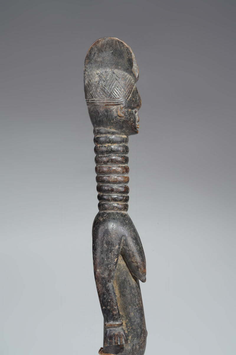 A small Mende ancestral