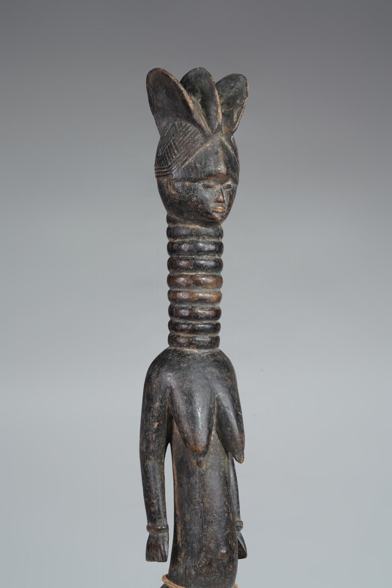 A small Mende ancestral