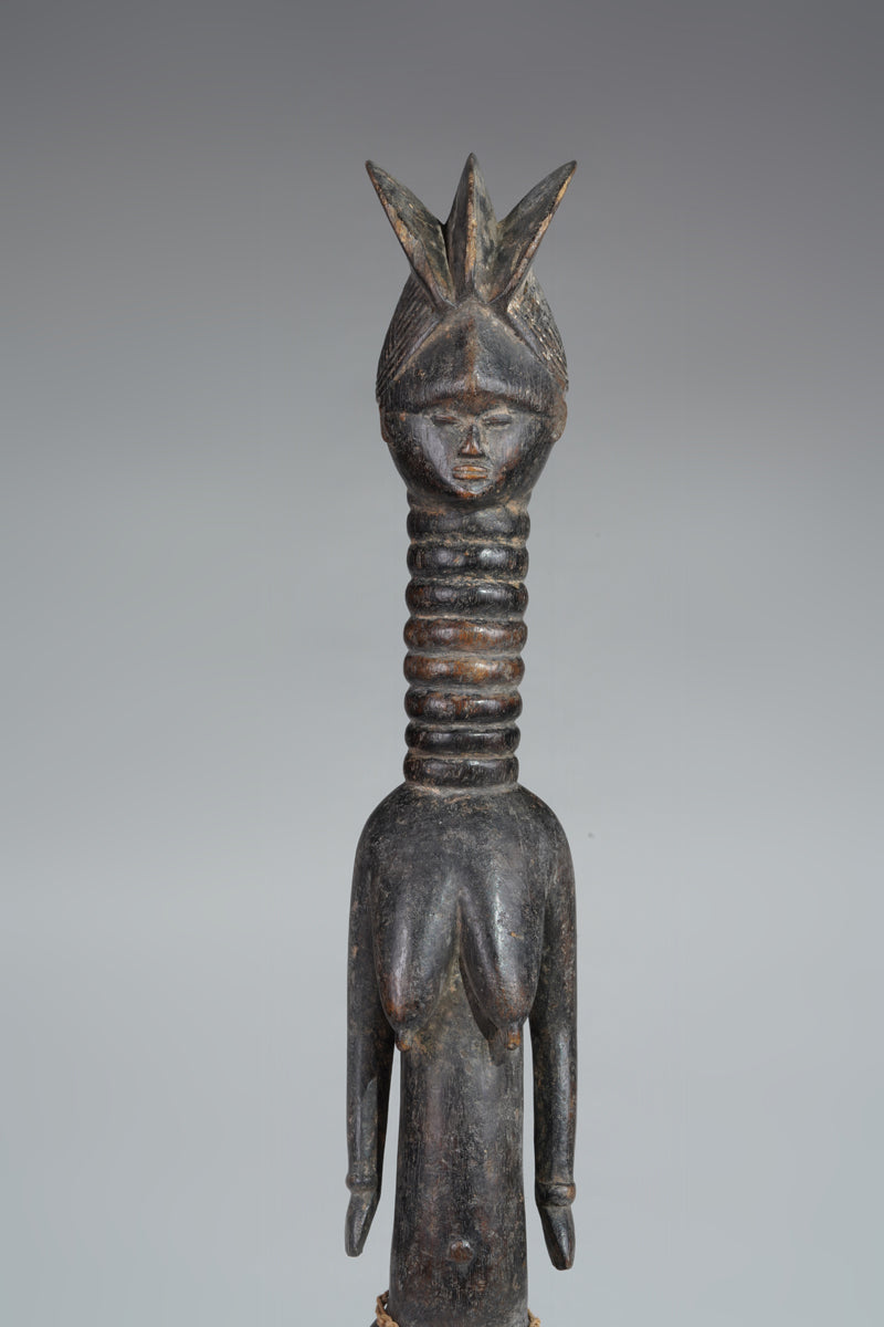 A small Mende ancestral