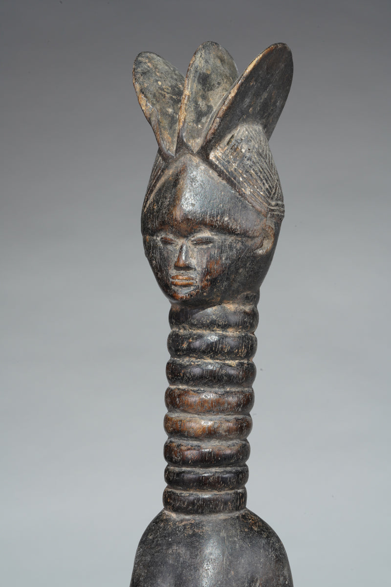 A small Mende ancestral