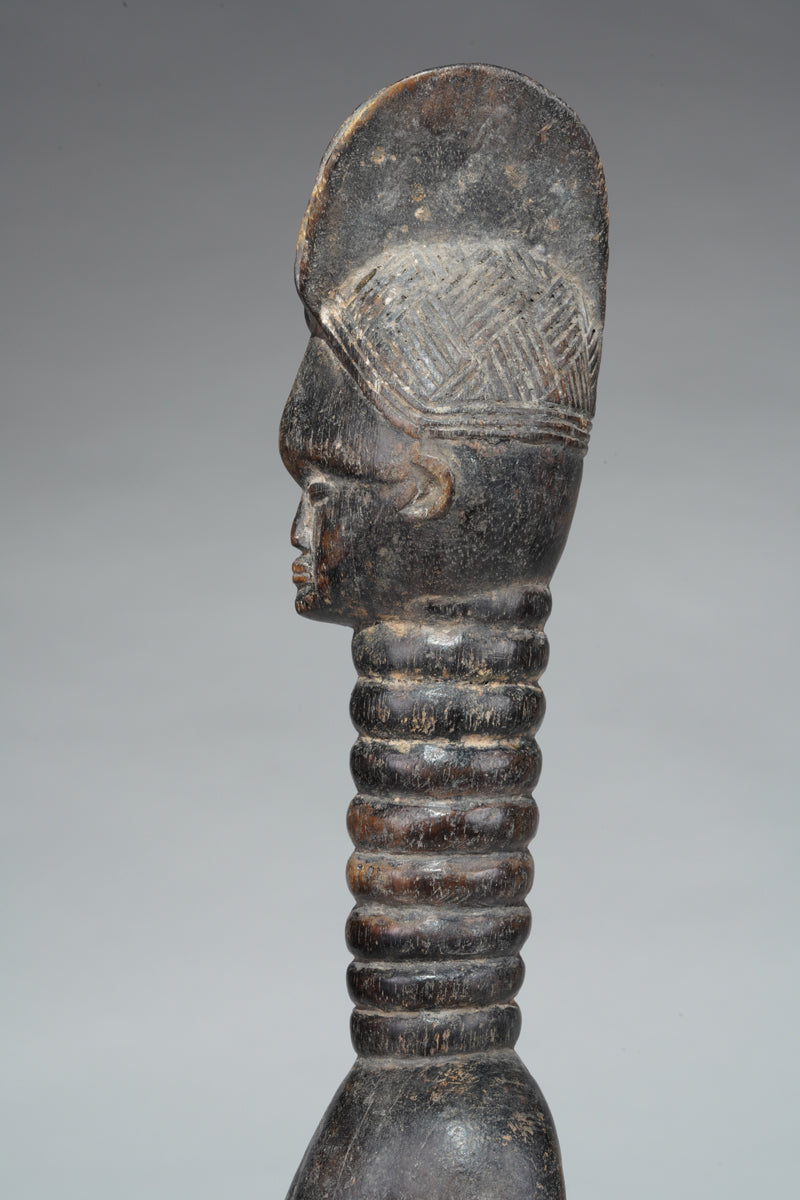 A small Mende ancestral
