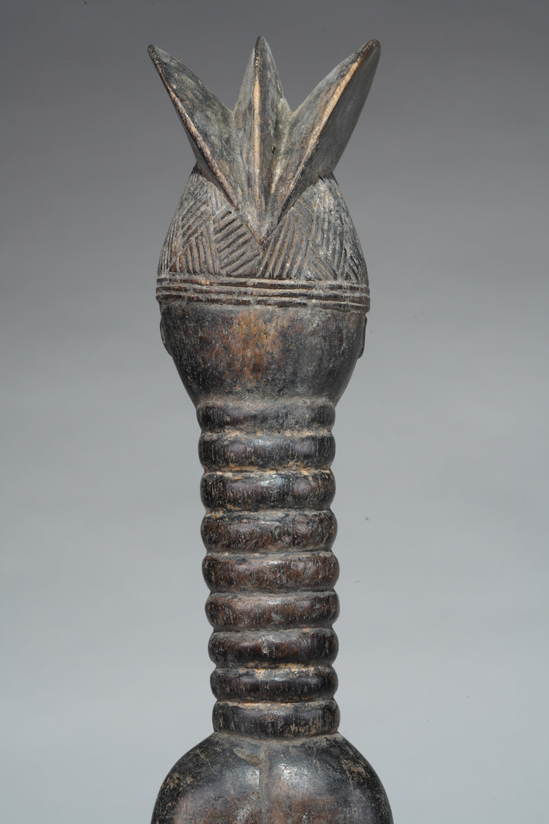 A small Mende ancestral