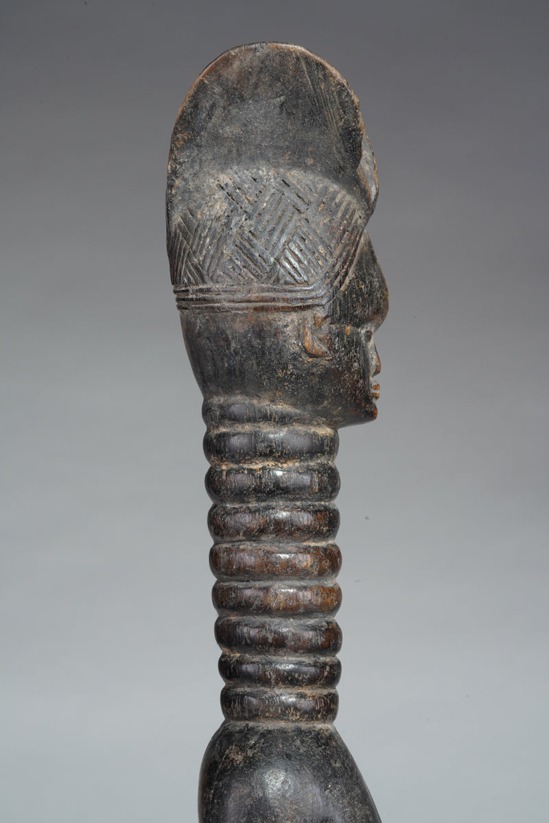 A small Mende ancestral
