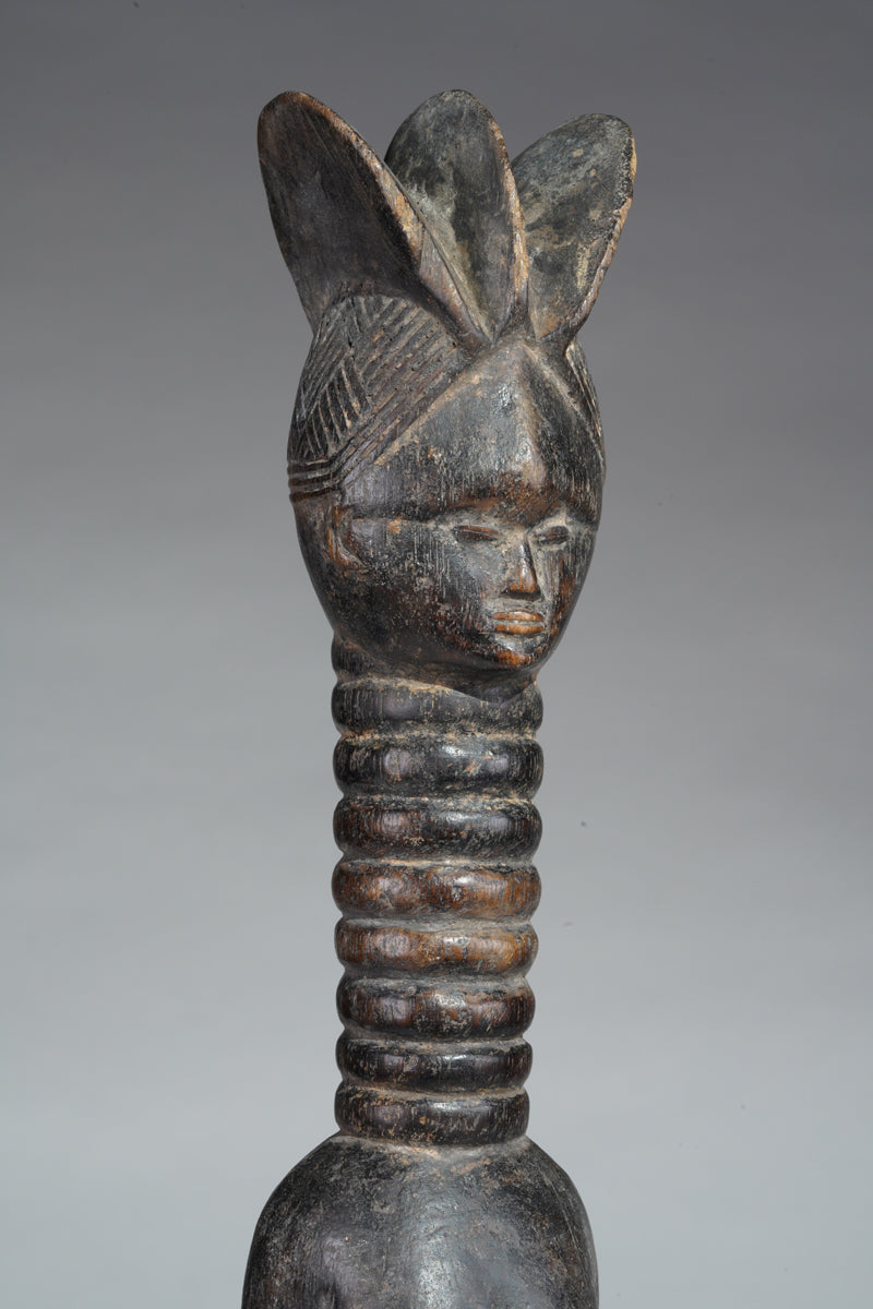 A small Mende ancestral