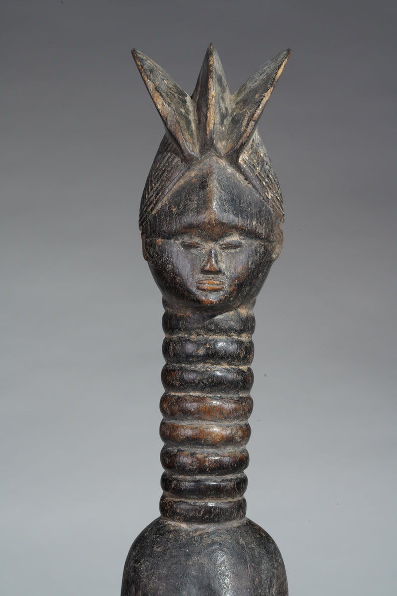 A small Mende ancestral