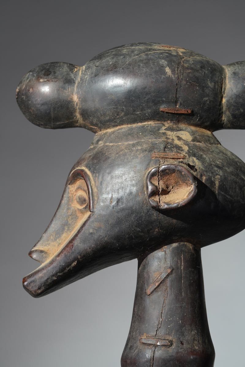 A rare four leg Senufo