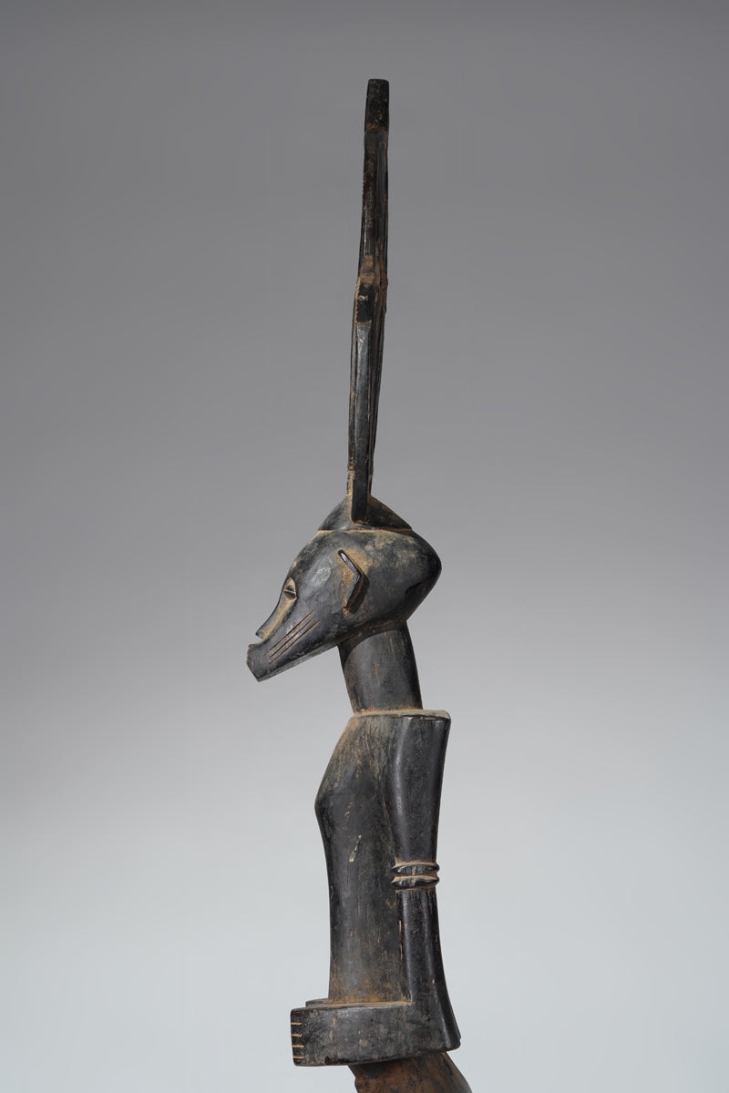 A Senufo Rhythmpounder