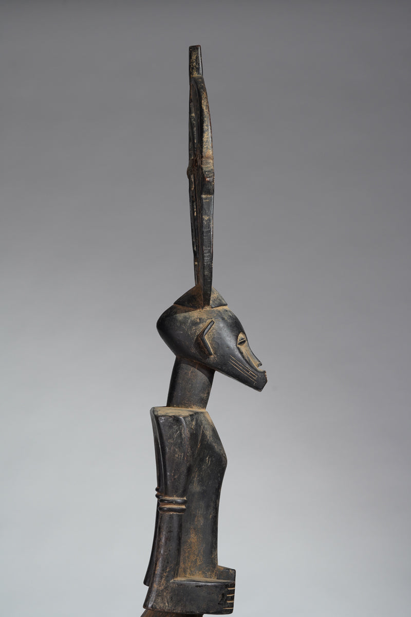 A Senufo Rhythmpounder