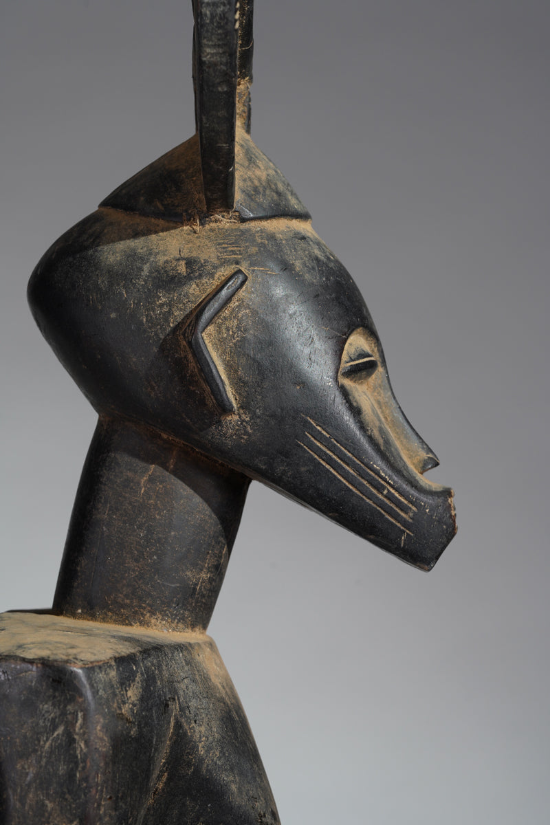 A Senufo Rhythmpounder