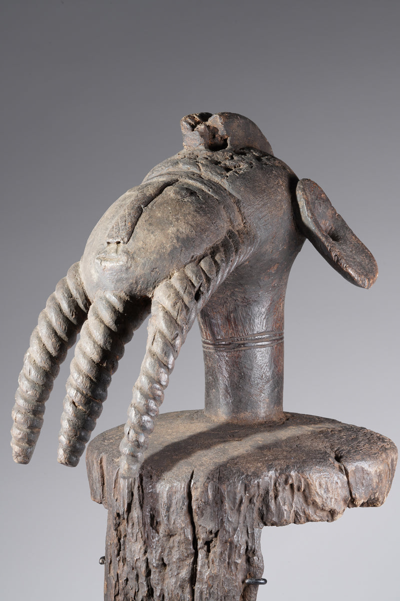 A fragmentary Jukun shoulder mask