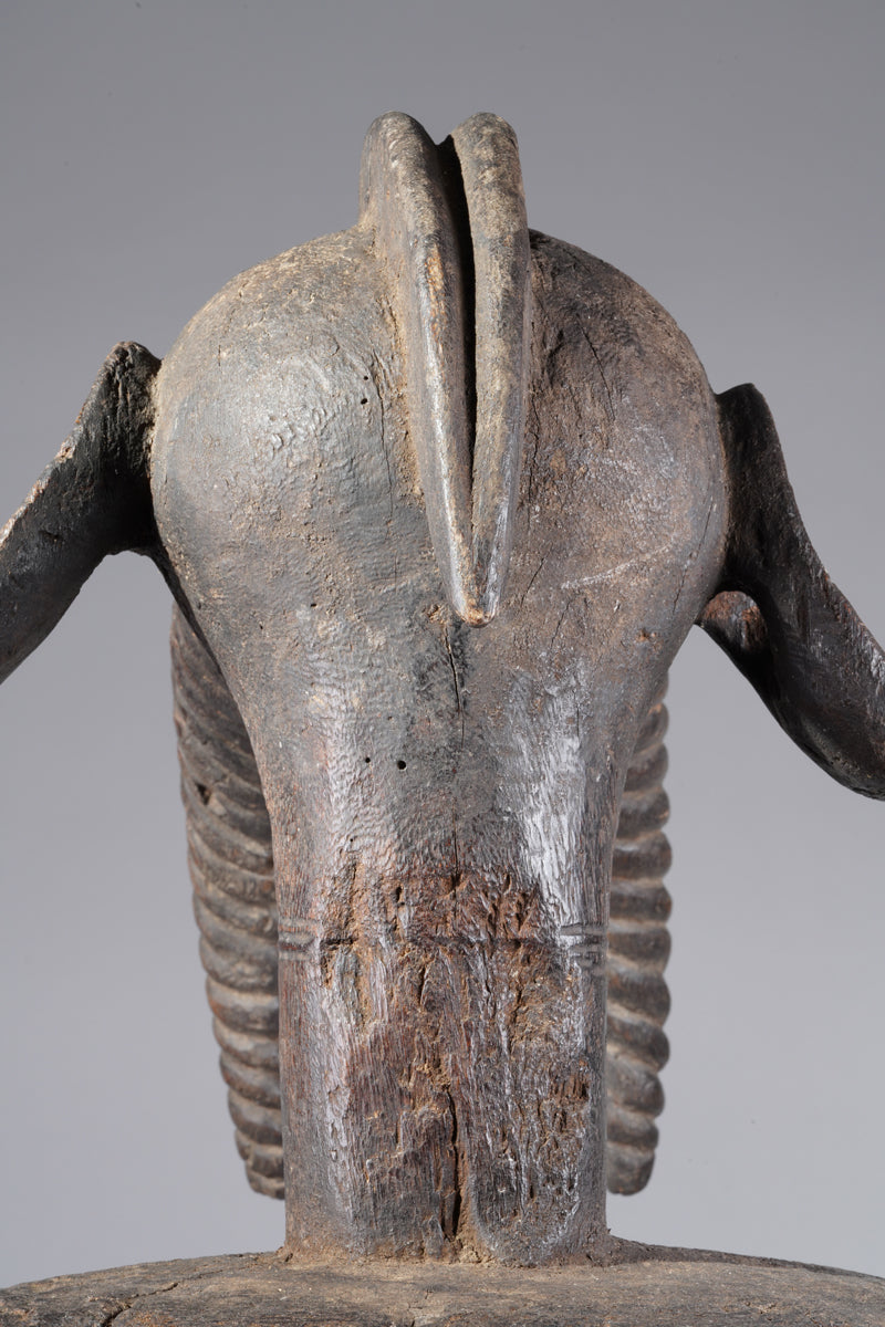 A fragmentary Jukun shoulder mask