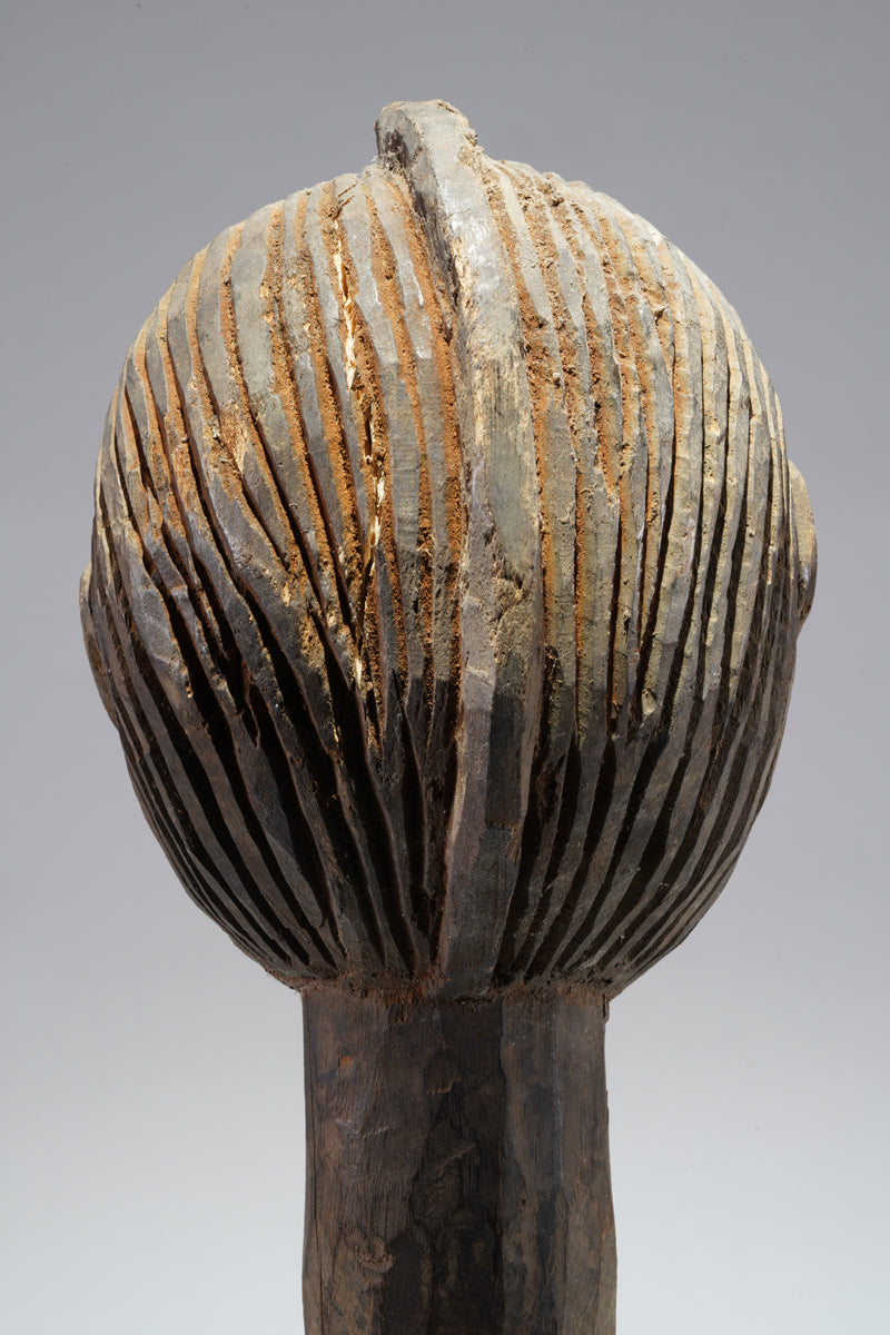 A couple of Lobi headstakes