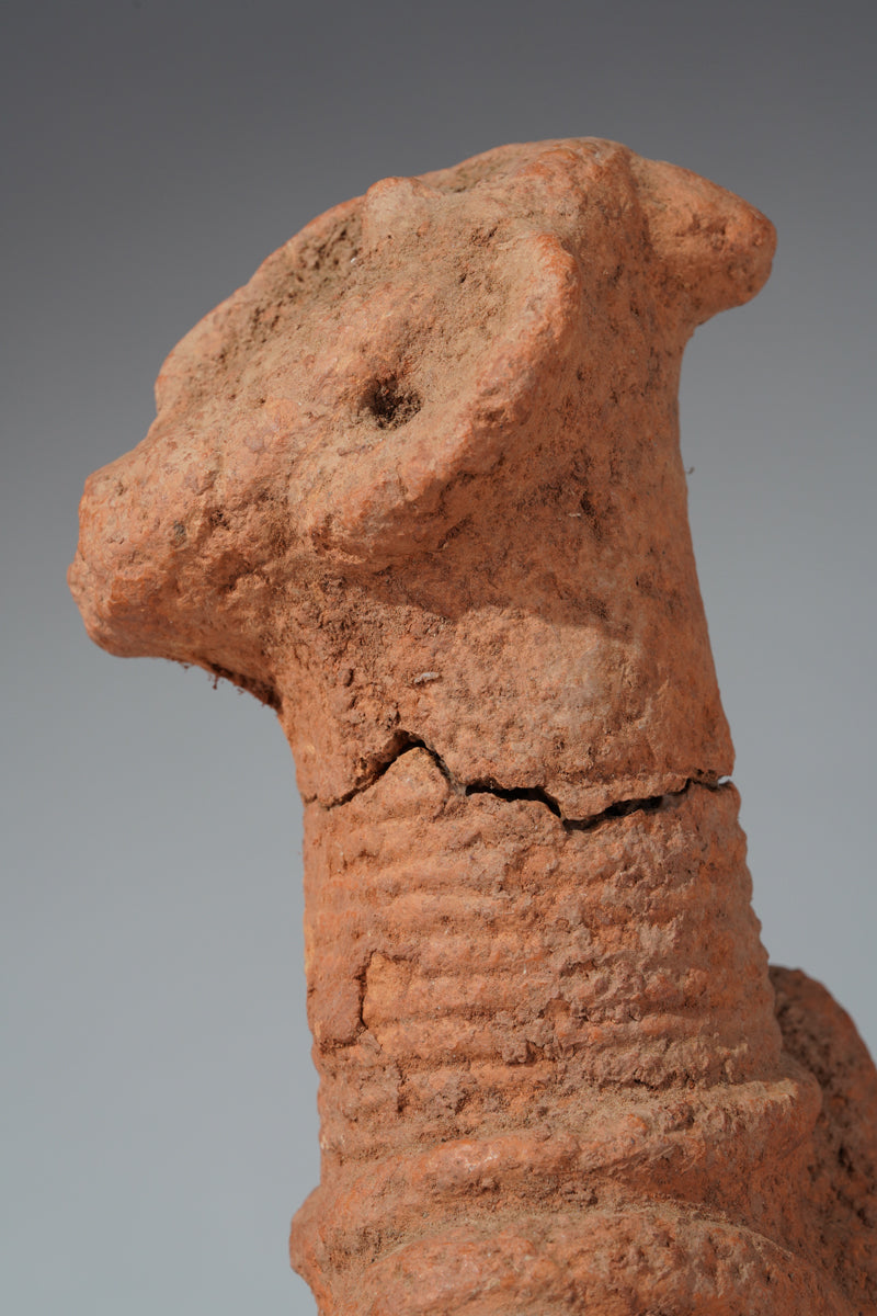 A fragmentary Bura reliquary