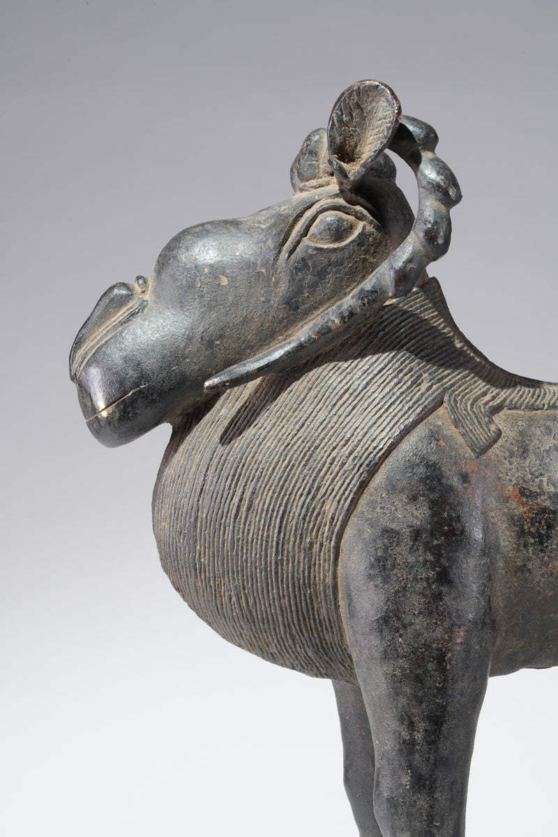 A Benin Bronze ram