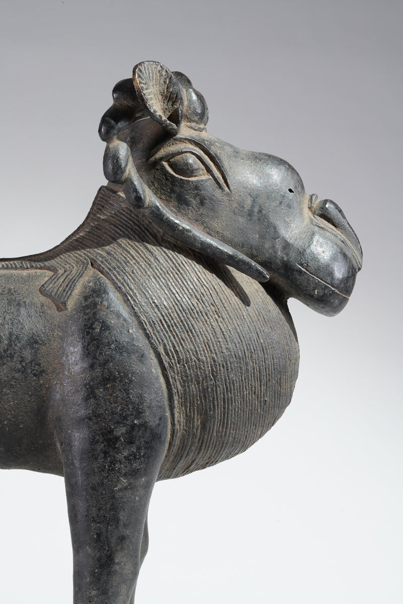 A Benin Bronze ram