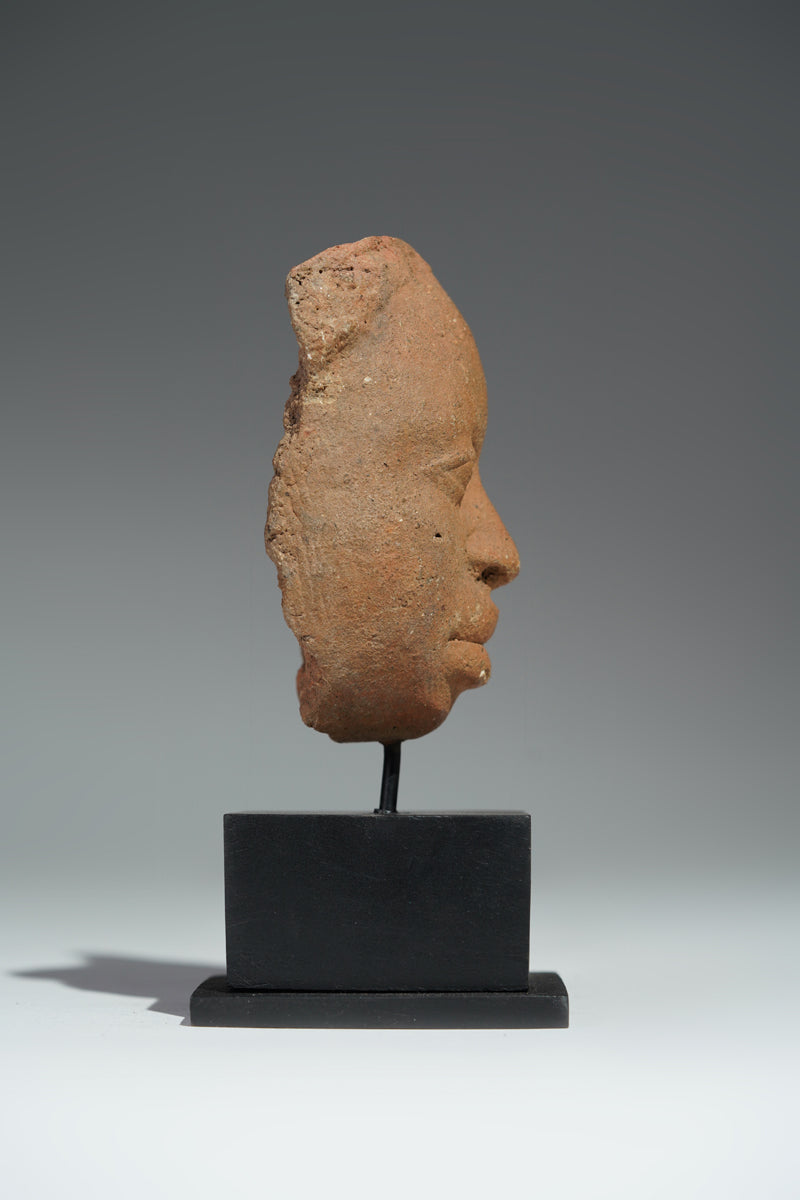 The fragment of a terracotta head from Ife