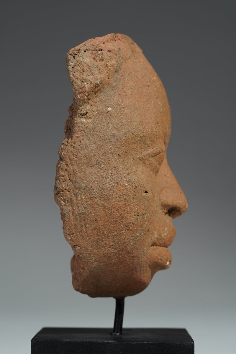 The fragment of a terracotta head from Ife