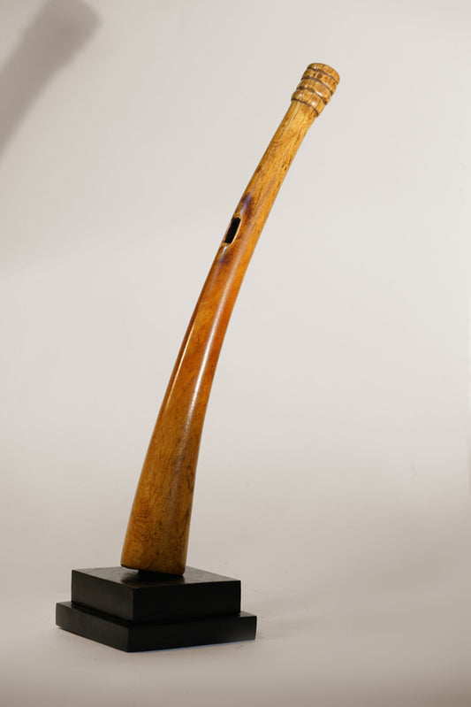 A Benin trumpet