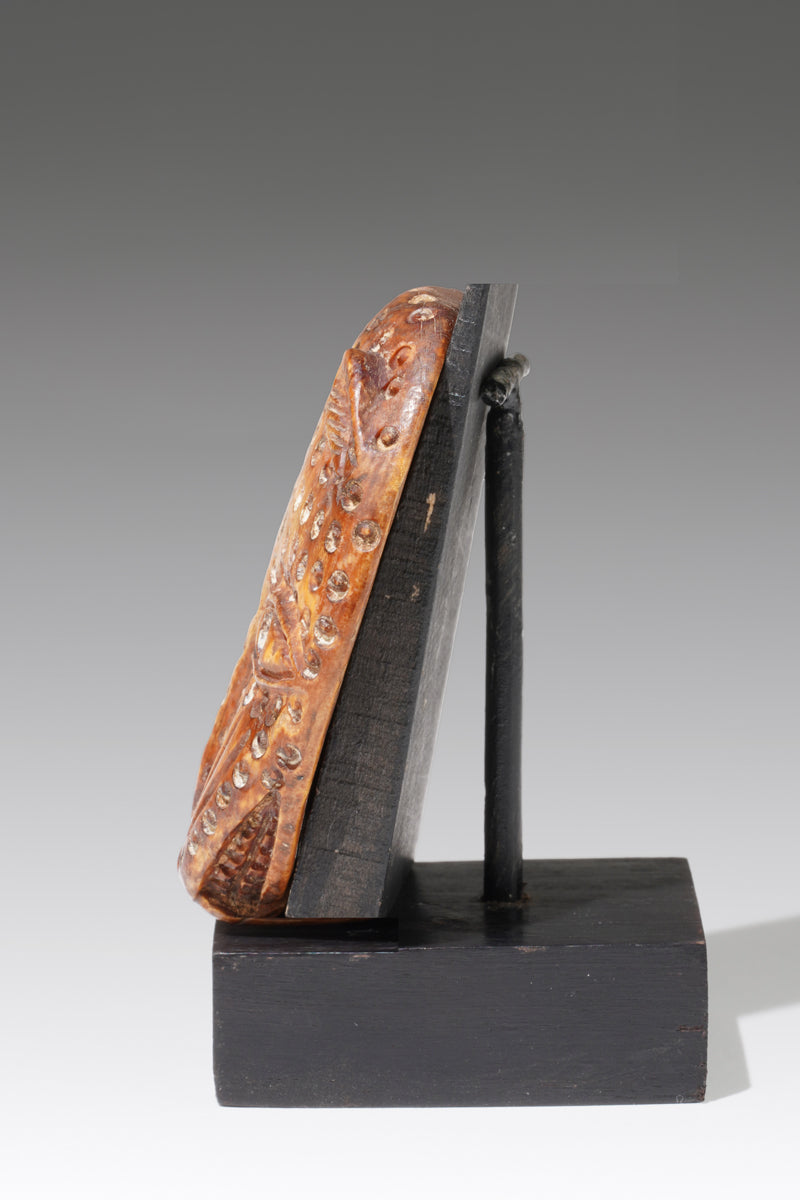 A small leopard head