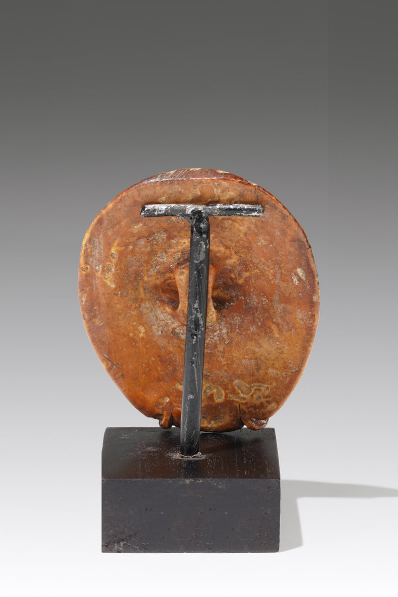 A small leopard head