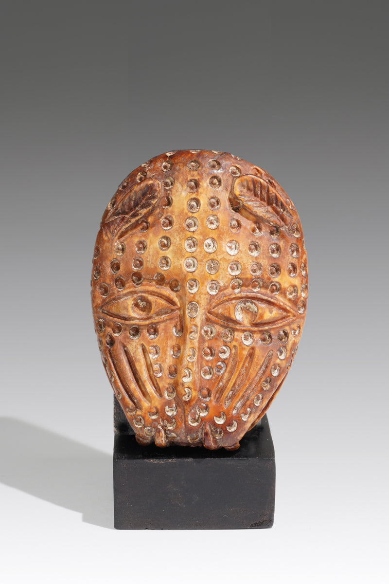 A small leopard head