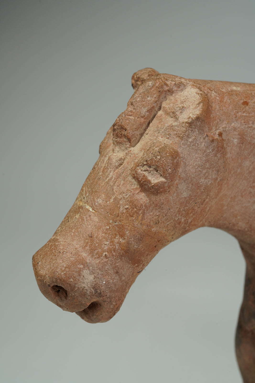 A terracotta horseman