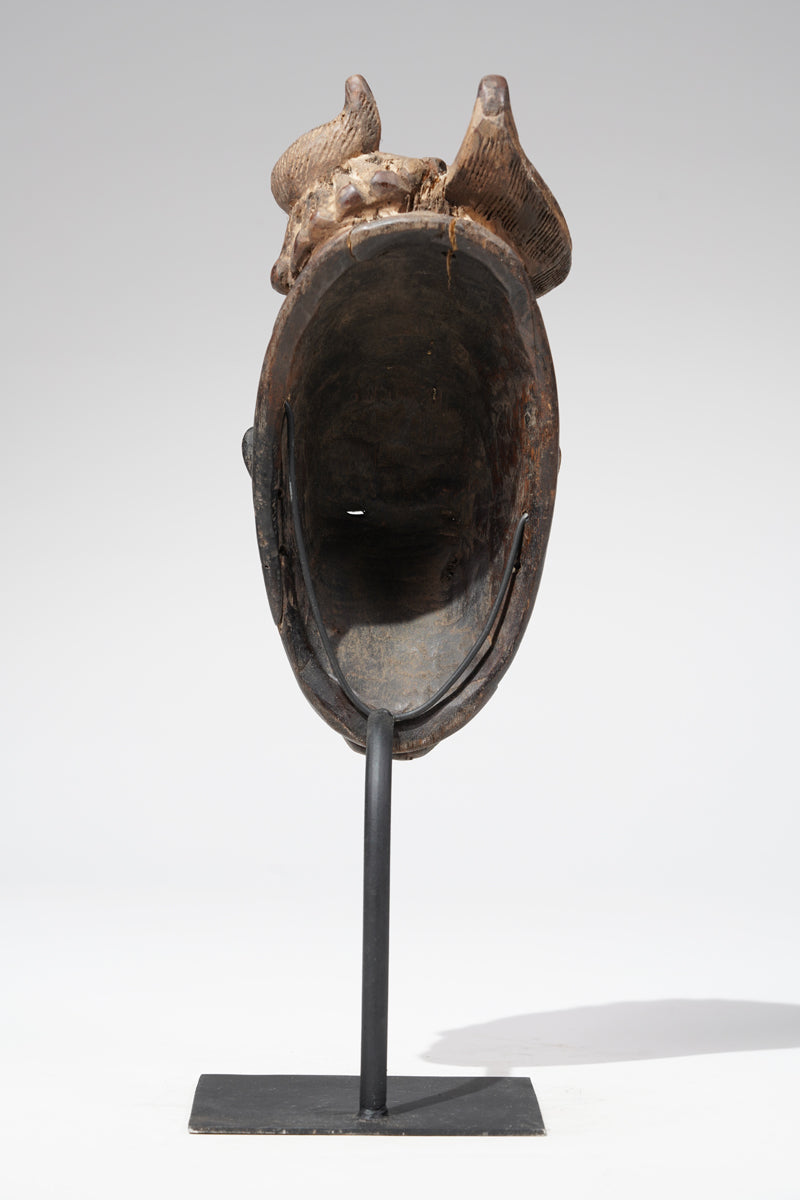 A Baule mask, collected in the Sakassou region