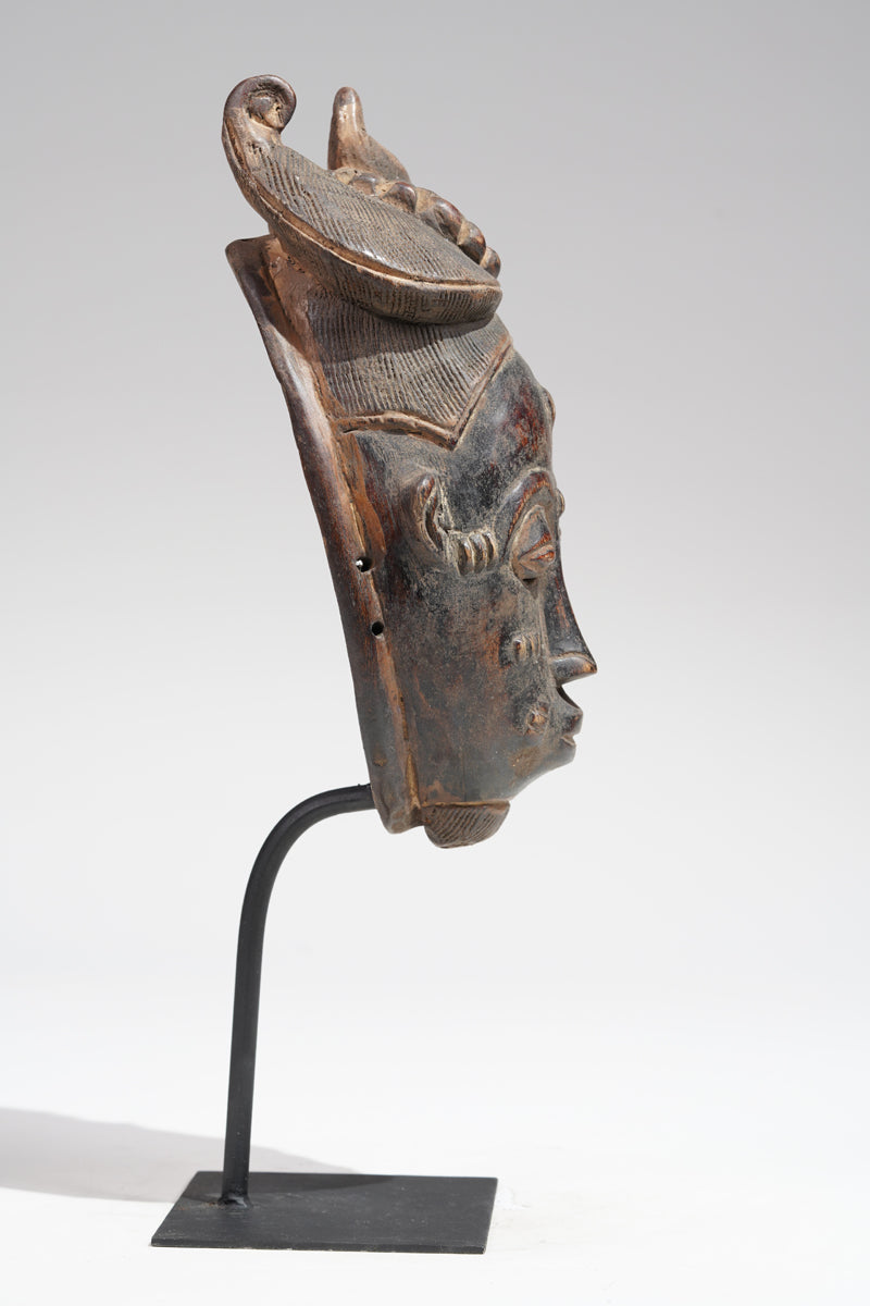 A Baule mask, collected in the Sakassou region