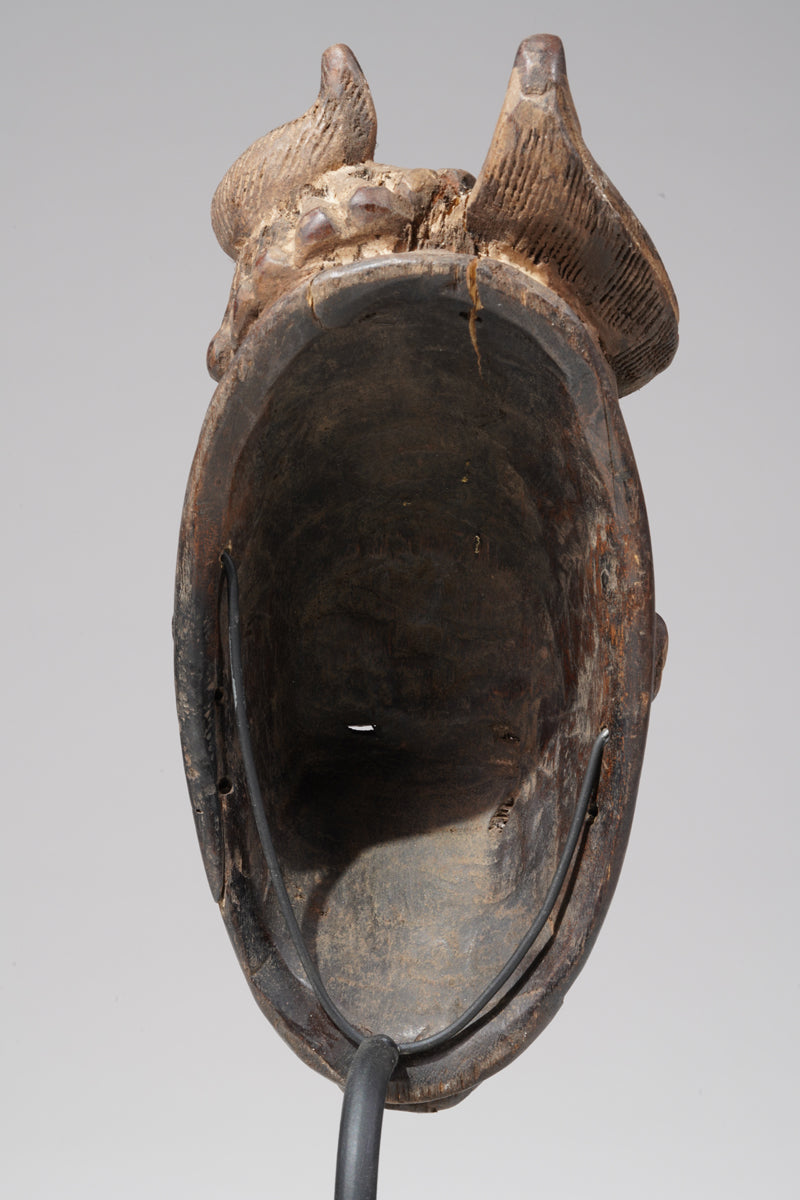 A Baule mask, collected in the Sakassou region