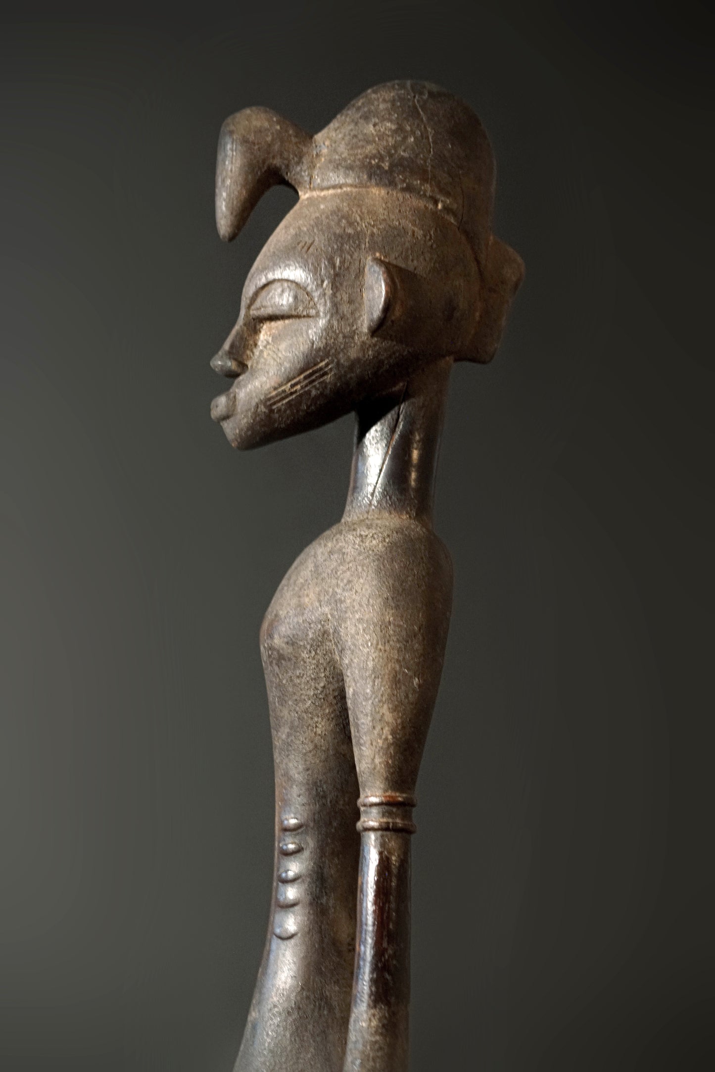 A male Senufo Guardian