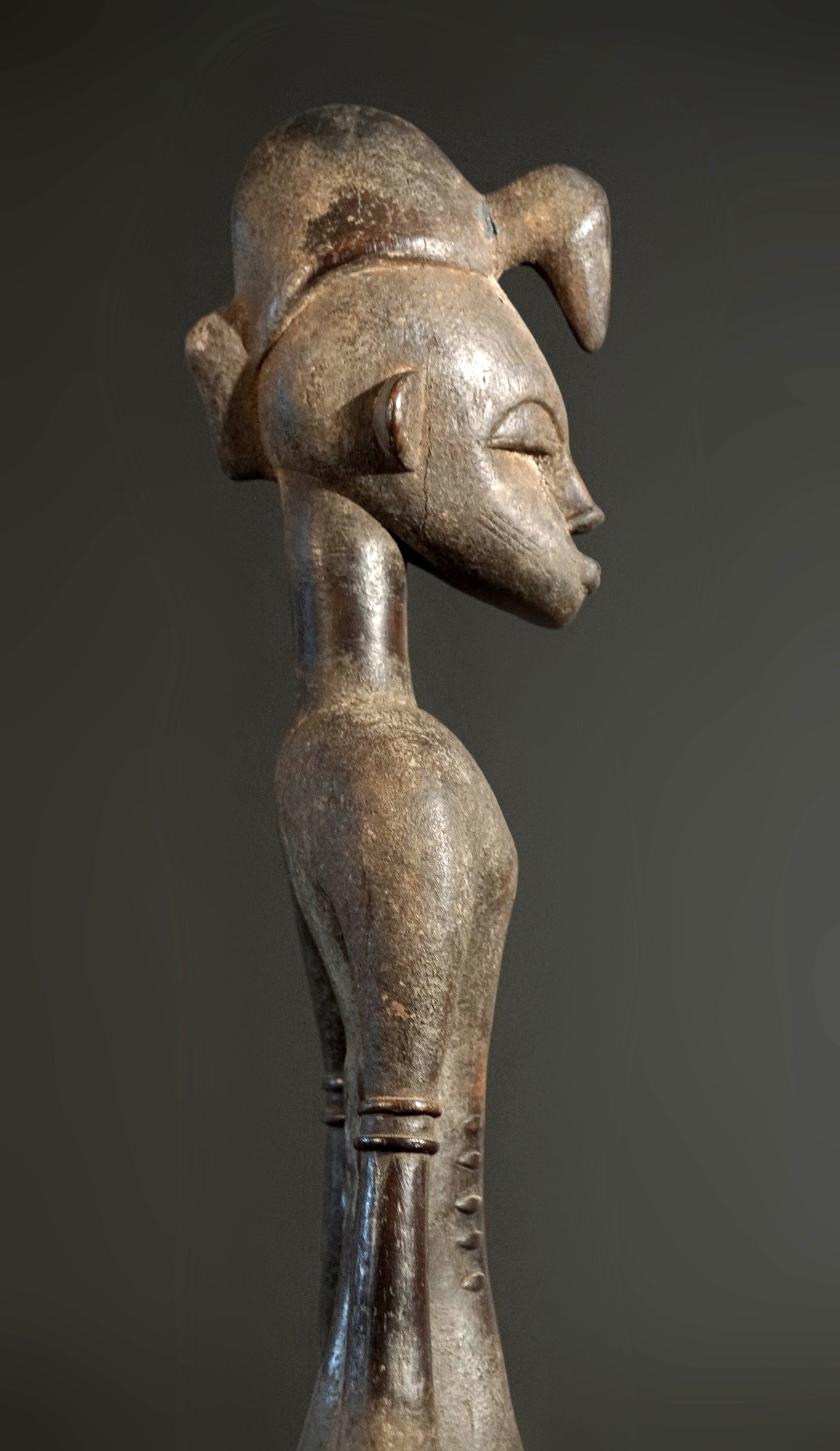 A male Senufo Guardian