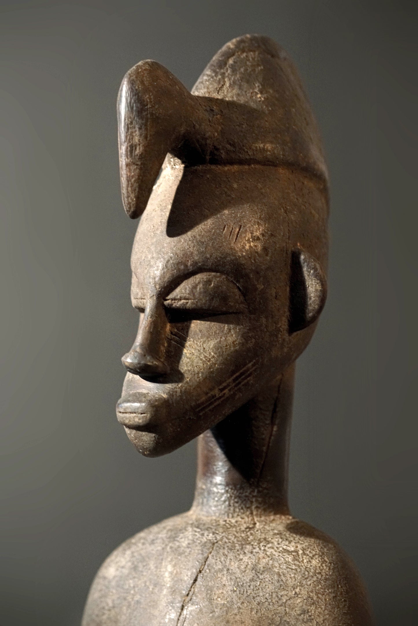 A male Senufo Guardian