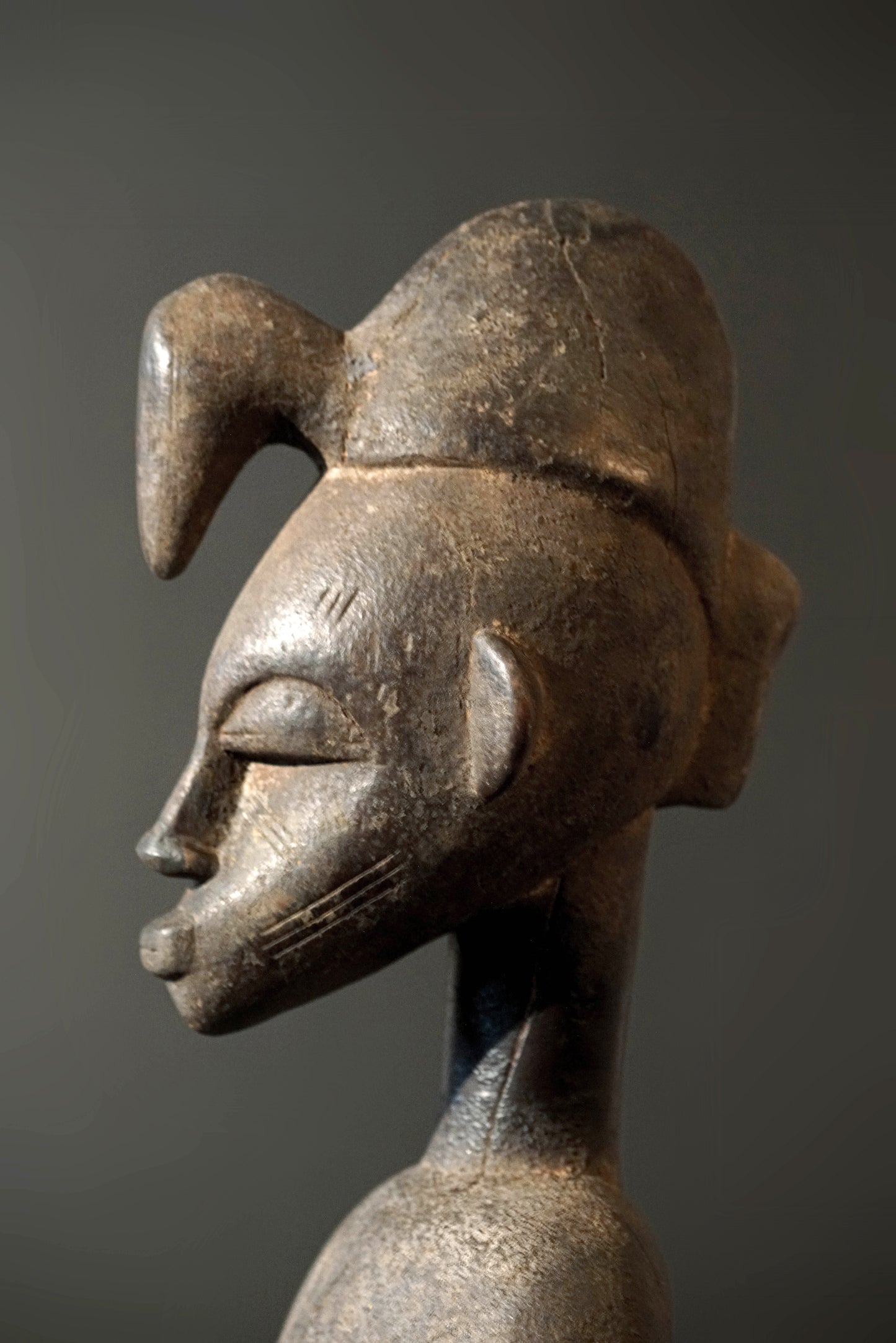 A male Senufo Guardian