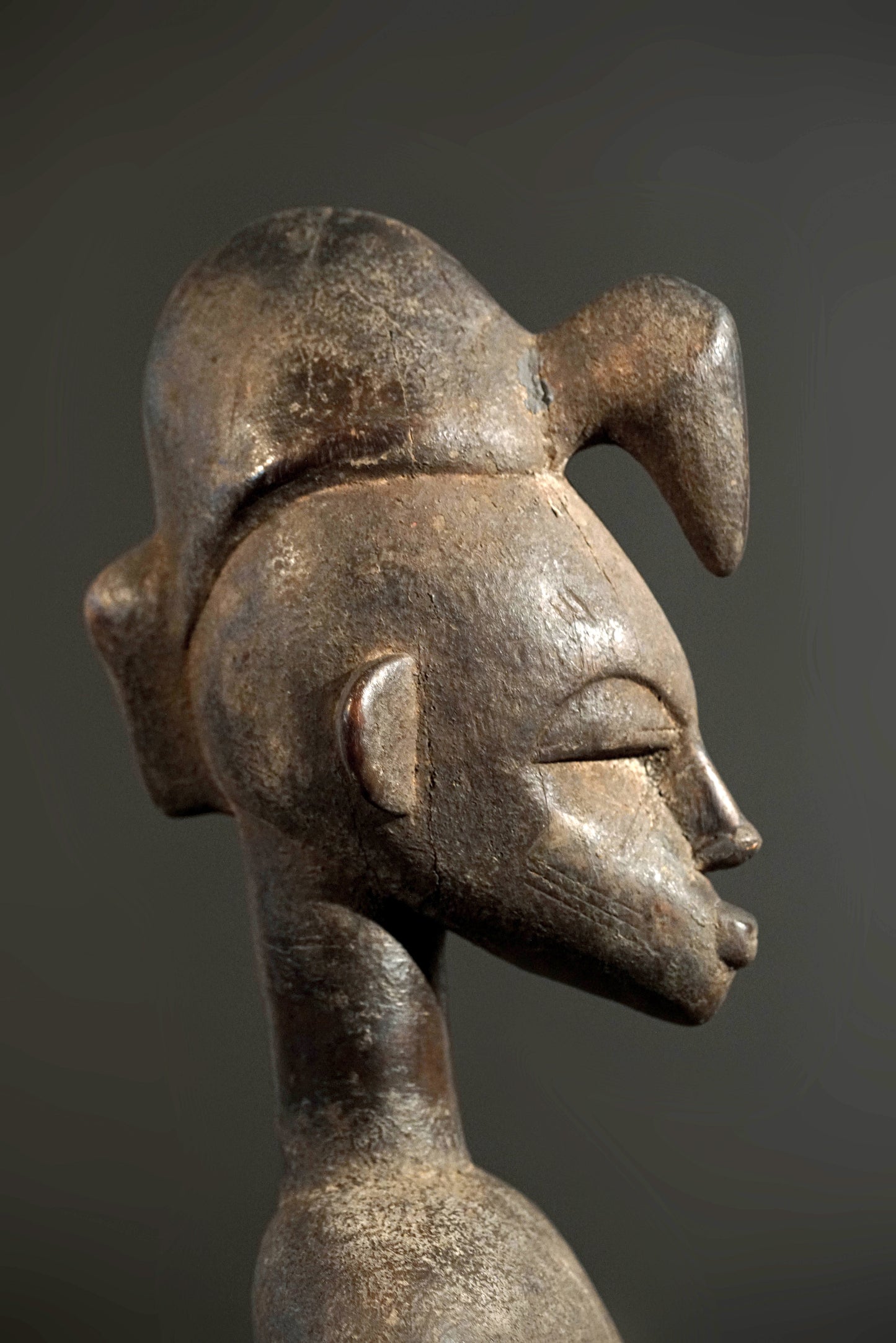 A male Senufo Guardian