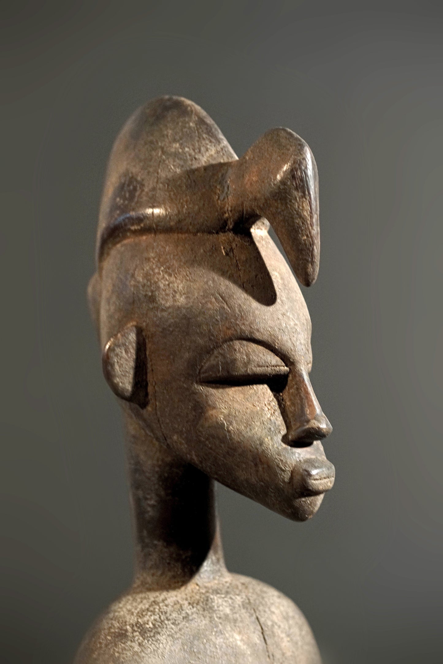 A male Senufo Guardian